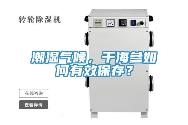 潮濕氣候，干海參如何有效保存？