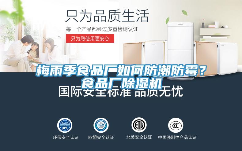 梅雨季食品廠如何防潮防霉？食品廠除濕機
