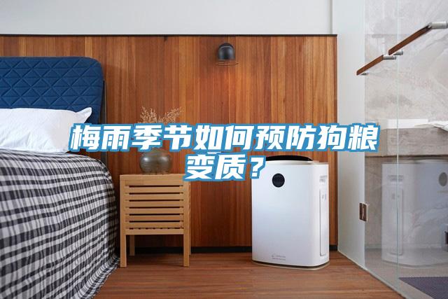 梅雨季節(jié)如何預防狗糧變質？