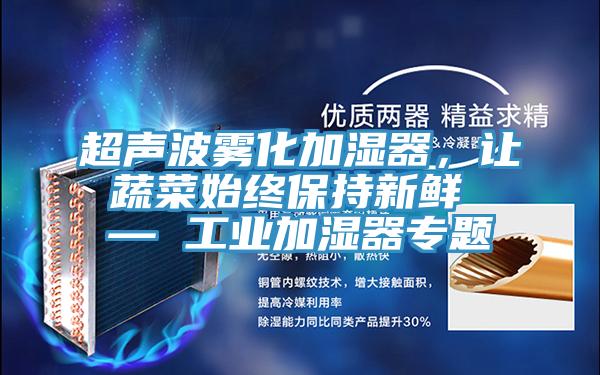 超聲波霧化加濕器，讓蔬菜始終保持新鮮 — 工業(yè)加濕器專題