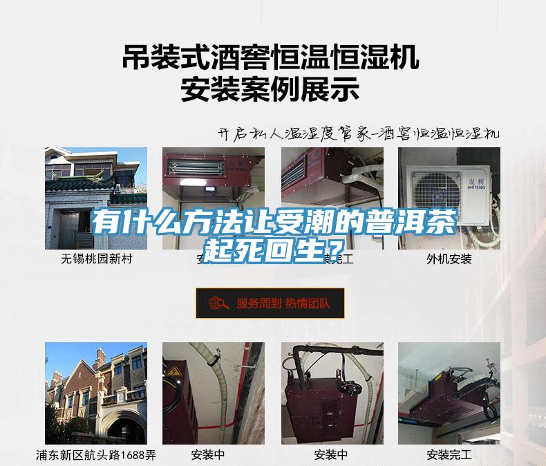 有什么方法讓受潮的普洱茶起死回生？