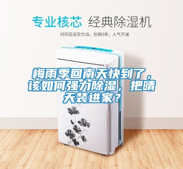 梅雨季回南天快到了，該如何強力除濕，把晴天裝進家？
