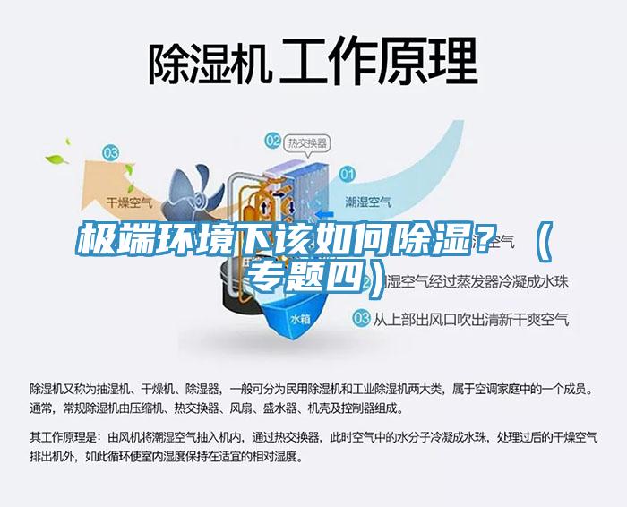 極端環(huán)境下該如何除濕？（專題四）
