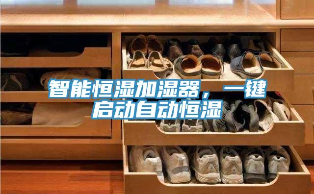 智能恒濕加濕器，一鍵啟動自動恒濕