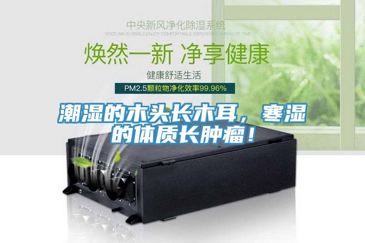 潮濕的木頭長(zhǎng)木耳，寒濕的體質(zhì)長(zhǎng)腫瘤！