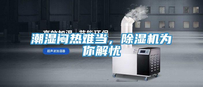 潮濕悶熱難當，除濕機為你解憂