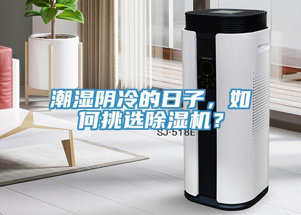 潮濕陰冷的日子，如何挑選除濕機(jī)？