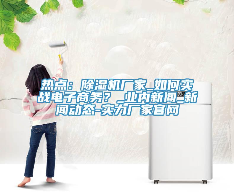 熱點(diǎn)：除濕機(jī)廠家_如何實(shí)戰(zhàn)電子商務(wù)？_業(yè)內(nèi)新聞_新聞動(dòng)態(tài)-實(shí)力廠家官網(wǎng)