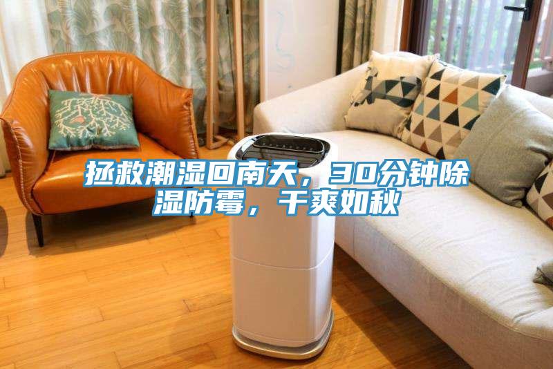 拯救潮濕回南天，30分鐘除濕防霉，干爽如秋