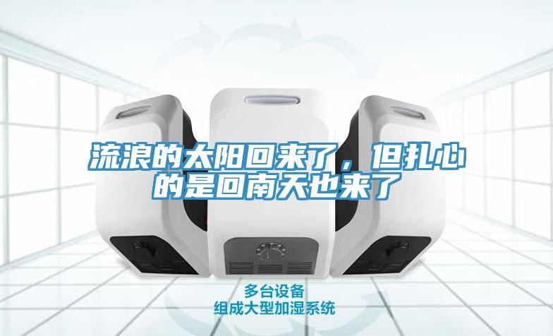 流浪的太陽回來了，但扎心的是回南天也來了