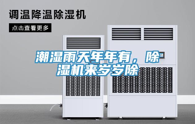 潮濕雨天年年有，除濕機來歲歲除