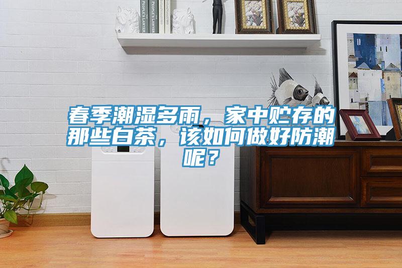 春季潮濕多雨，家中貯存的那些白茶，該如何做好防潮呢？