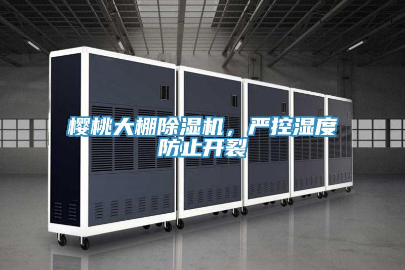 櫻桃大棚除濕機(jī)，嚴(yán)控濕度防止開(kāi)裂