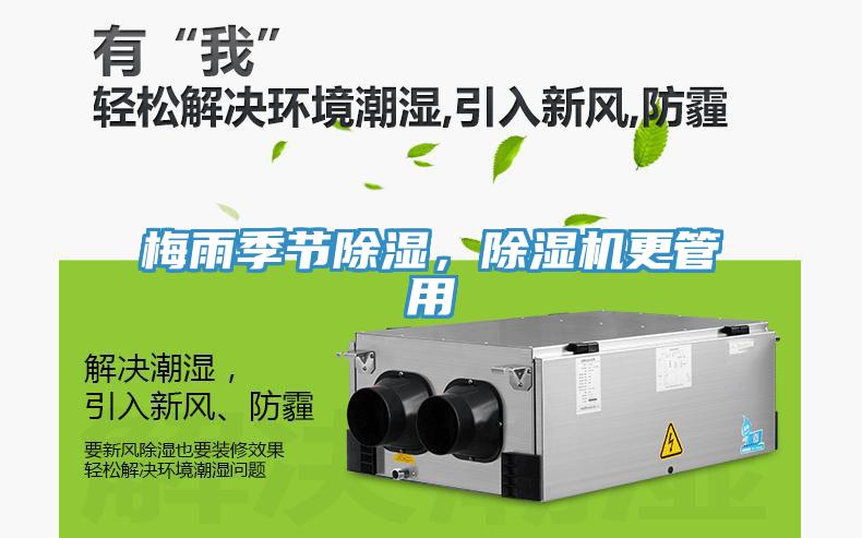 梅雨季節(jié)除濕，除濕機更管用