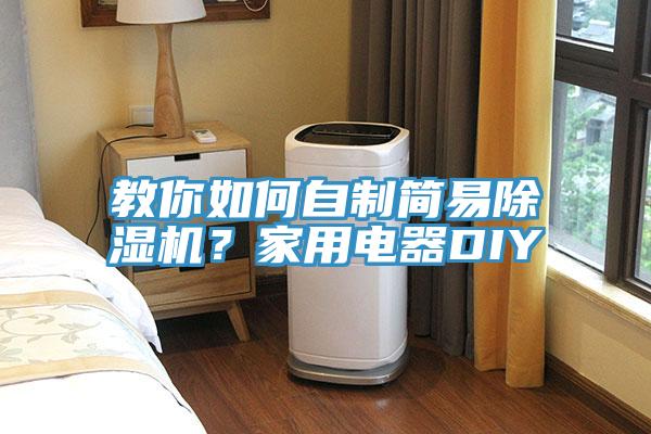 教你如何自制簡(jiǎn)易除濕機(jī)？家用電器DIY