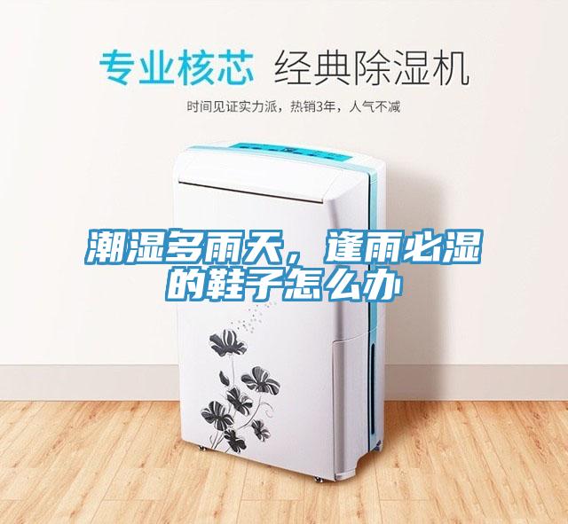 潮濕多雨天，逢雨必濕的鞋子怎么辦