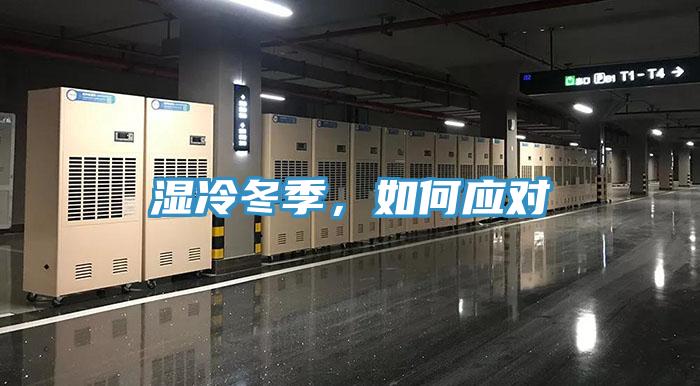 濕冷冬季，如何應(yīng)對