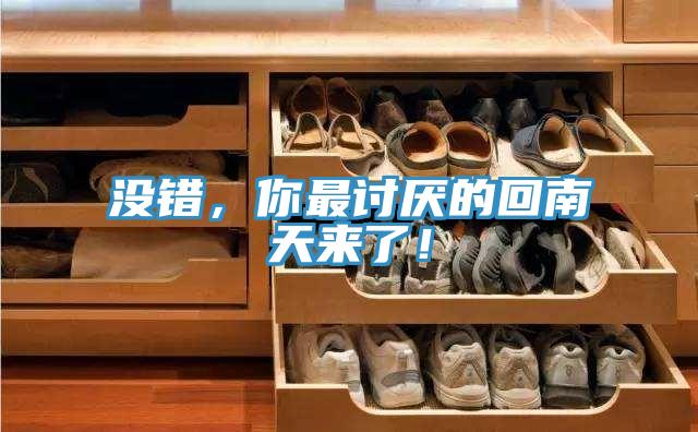 沒錯，你最討厭的回南天來了！
