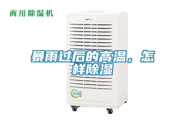 暴雨過后的高溫，怎樣除濕