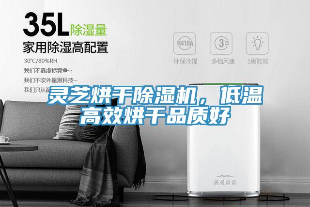 靈芝烘干除濕機(jī)，低溫高效烘干品質(zhì)好