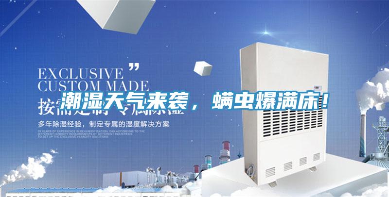 潮濕天氣來襲，螨蟲爆滿床！