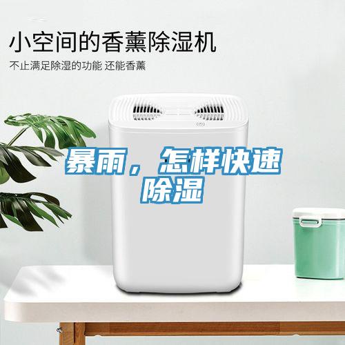 暴雨，怎樣快速除濕