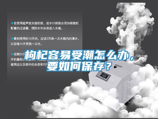 枸杞容易受潮怎么辦，要如何保存？