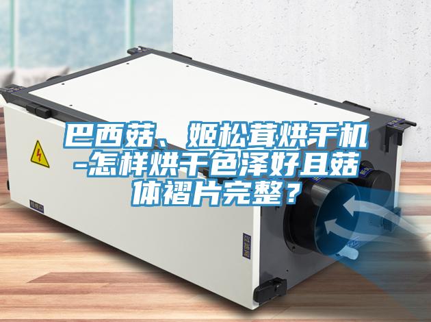 巴西菇、姬松茸烘干機(jī)-怎樣烘干色澤好且菇體褶片完整？