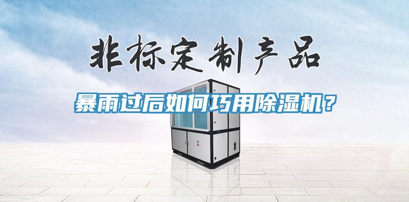 暴雨過后如何巧用除濕機？