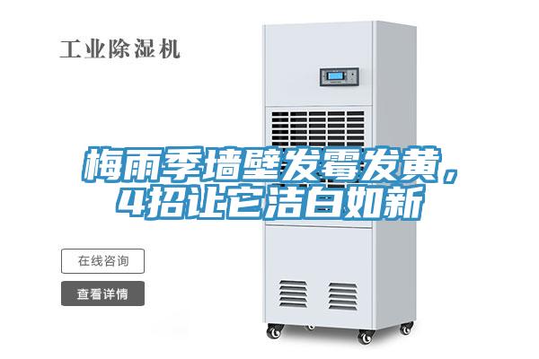 梅雨季墻壁發(fā)霉發(fā)黃，4招讓它潔白如新