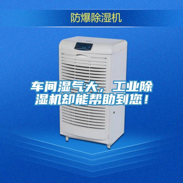 車間濕氣大，工業(yè)除濕機(jī)卻能幫助到您！