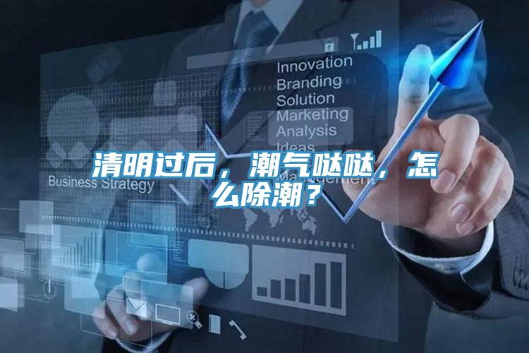 清明過后，潮氣噠噠，怎么除潮？
