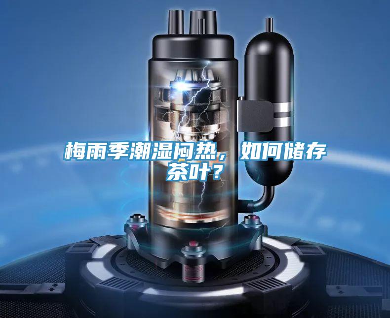梅雨季潮濕悶熱，如何儲存茶葉？