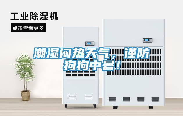 潮濕悶熱天氣，謹防狗狗中暑！