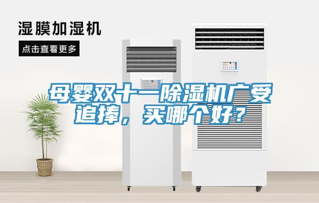 母嬰雙十一除濕機(jī)廣受追捧，買哪個(gè)好？