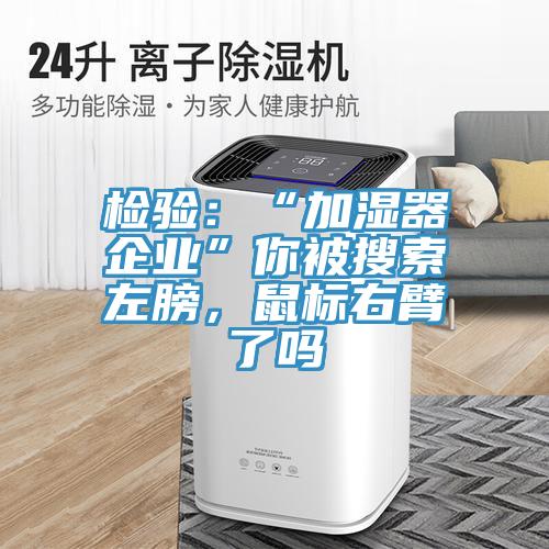 檢驗：“加濕器企業(yè)”你被搜索左膀，鼠標右臂了嗎