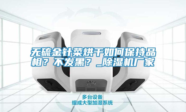 無硫金針菜烘干如何保持品相？不發(fā)黑？_除濕機廠家