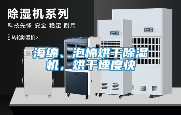 海綿、泡棉烘干除濕機，烘干速度快