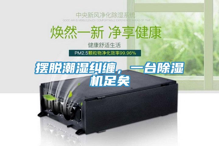 擺脫潮濕糾纏，一臺除濕機(jī)足矣