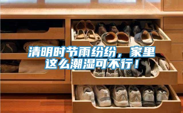 清明時節(jié)雨紛紛，家里這么潮濕可不行！
