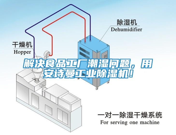 解決食品工廠潮濕問題，用安詩曼工業(yè)除濕機(jī)！