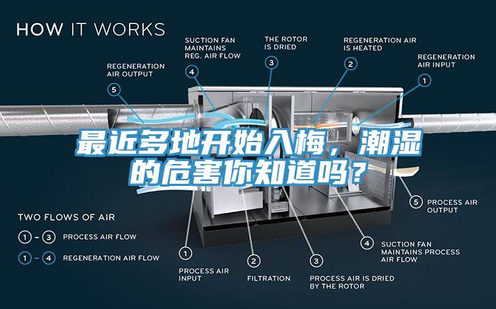 最近多地開始入梅，潮濕的危害你知道嗎？