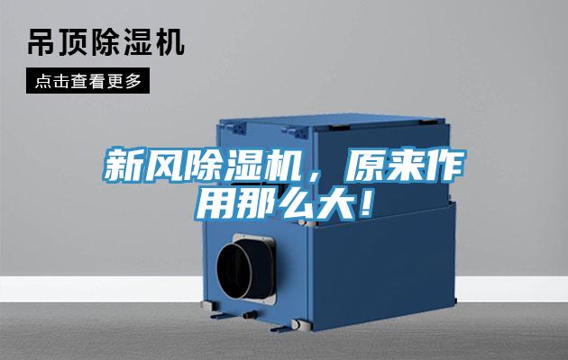 新風(fēng)除濕機(jī)，原來(lái)作用那么大！