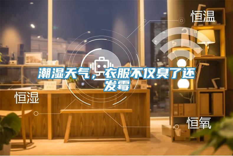 潮濕天氣，衣服不僅臭了還發(fā)霉