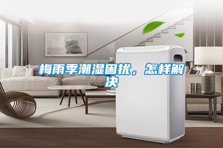 梅雨季潮濕困擾，怎樣解決