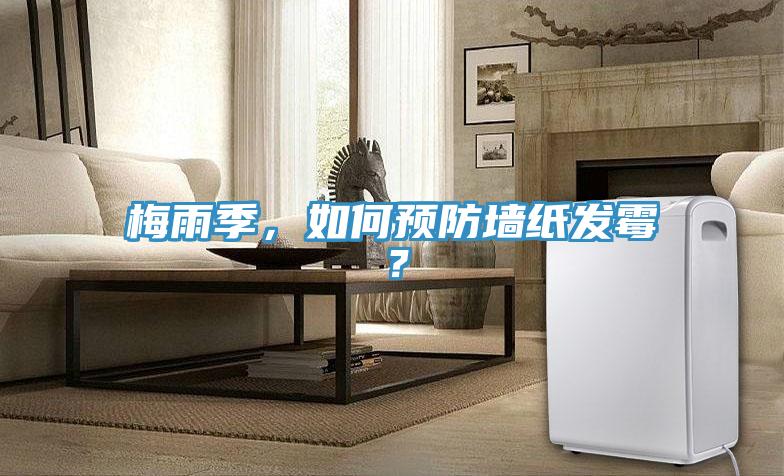 梅雨季，如何預(yù)防墻紙發(fā)霉？
