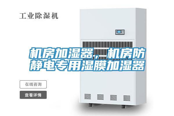 機(jī)房加濕器，機(jī)房防靜電專用濕膜加濕器