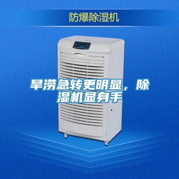 旱澇急轉(zhuǎn)更明顯，除濕機顯身手