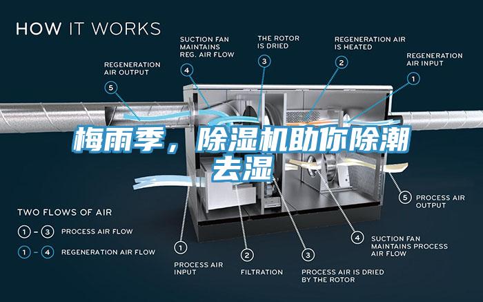 梅雨季，除濕機(jī)助你除潮去濕