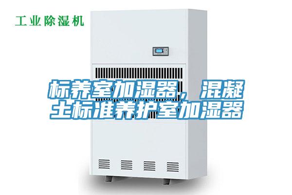 標(biāo)養(yǎng)室加濕器，混凝土標(biāo)準(zhǔn)養(yǎng)護室加濕器